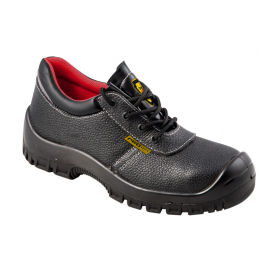CIPELE APOLLO O1 PLITKE 45 BEOROL